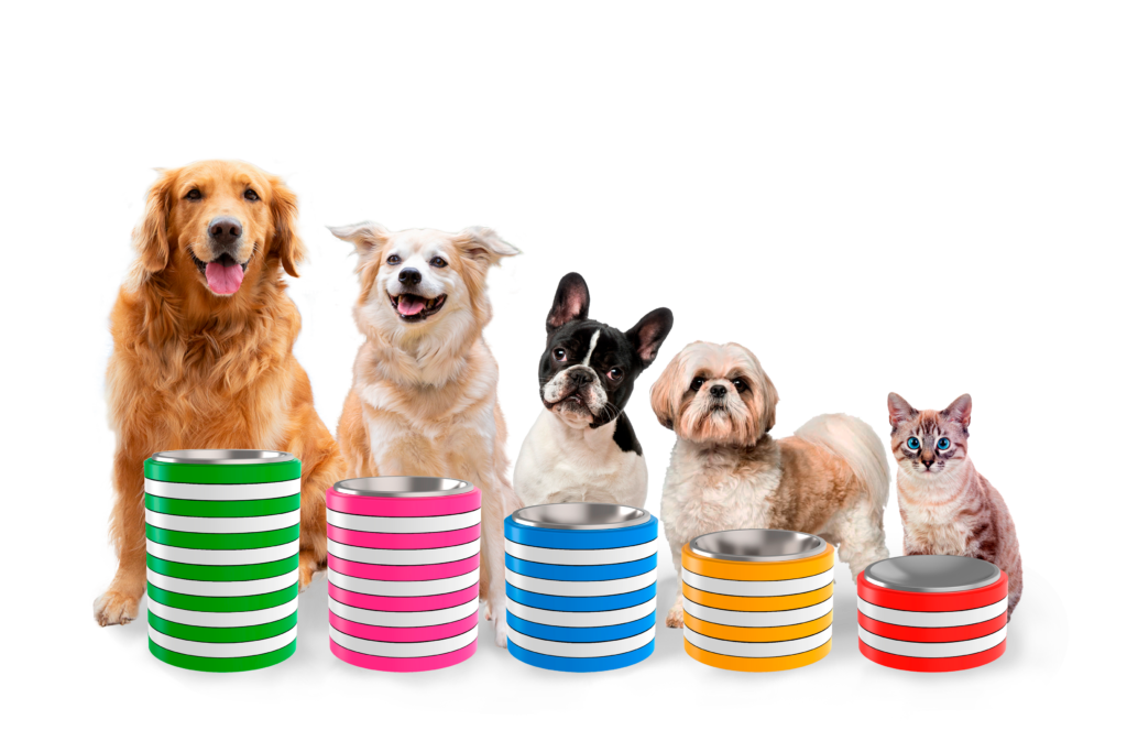 Pets utilizando comedouros Animalart em diferentes alturas