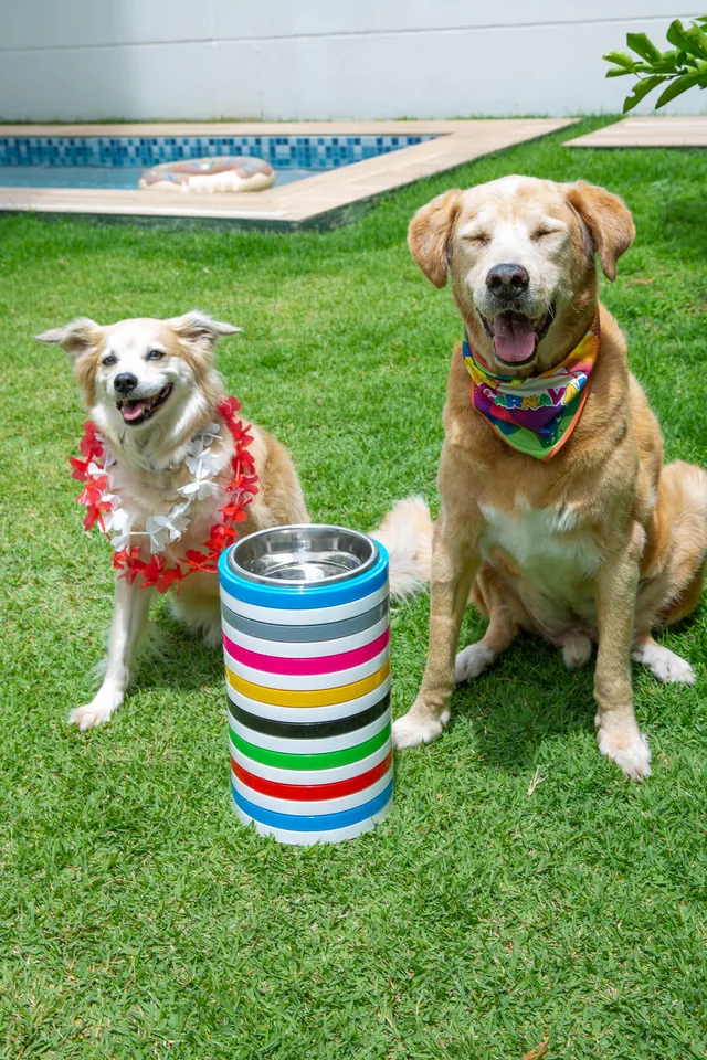 Comedouro Animalart em uso — foto 03