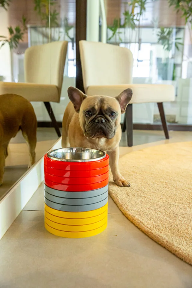 Comedouro Animalart em uso — foto 05