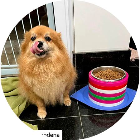 Cliente utilizando um comedouro Animalart